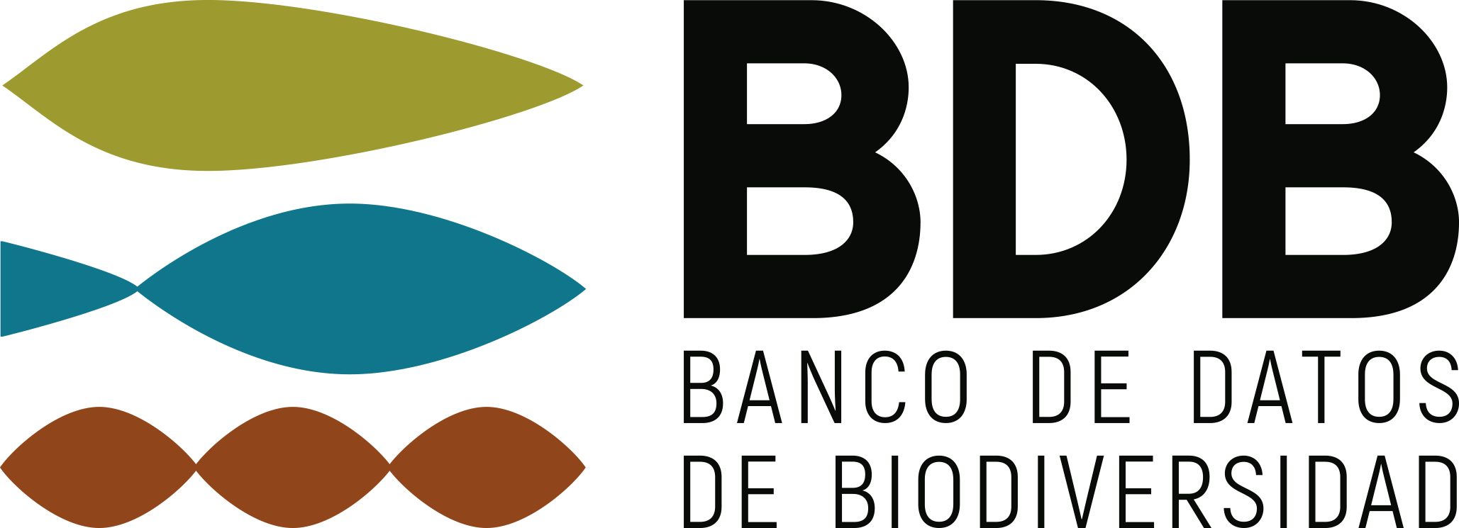 logo BDB